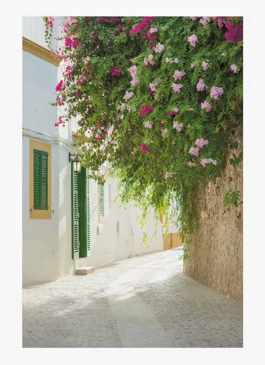 Gypsy Westwood - Flowers Dalt Vila