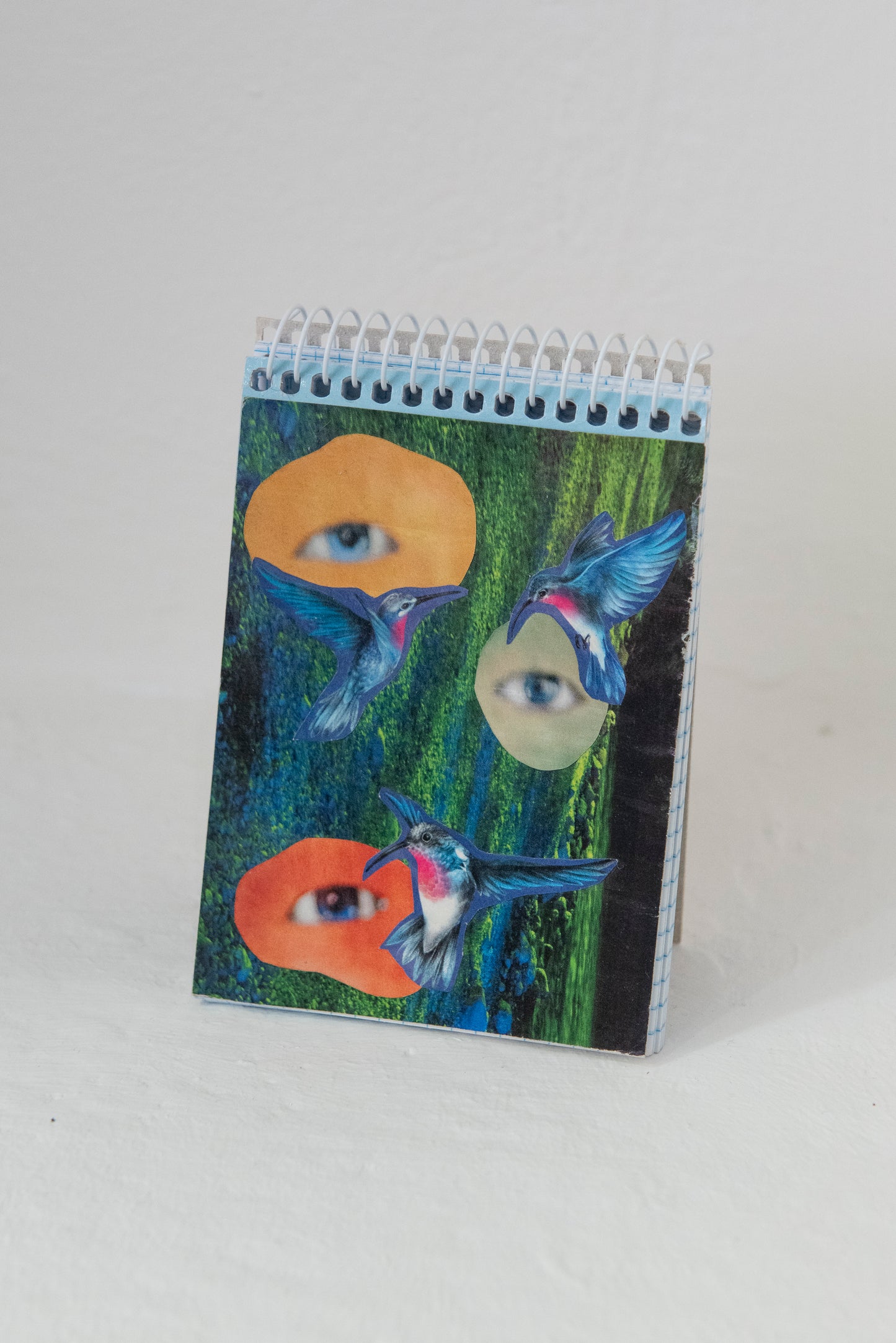 Valen Bouza - Colibrí libreta