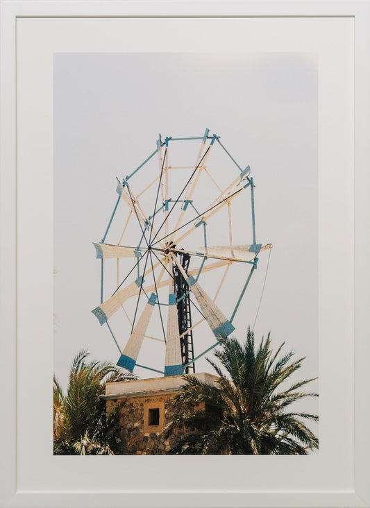 Sofia Gomez Fonzo - Moulin Blu