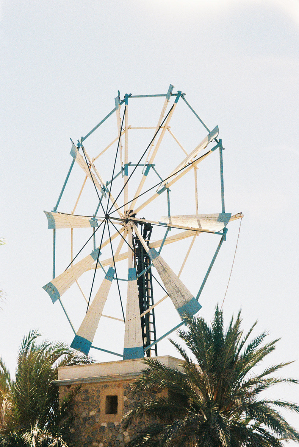 Sofia Gomez Fonzo - Moulin Blu