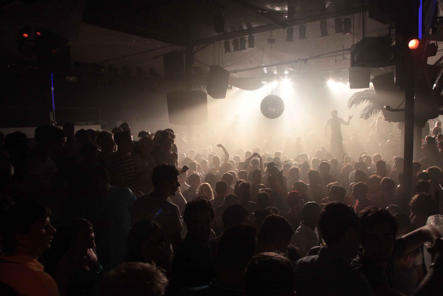 Noam Ofir - 4. Pachacha