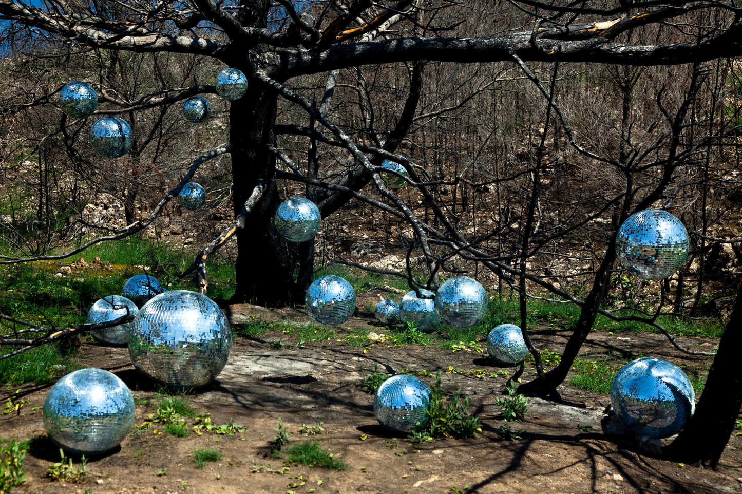 Noam Ofir - 5. Disco Forest