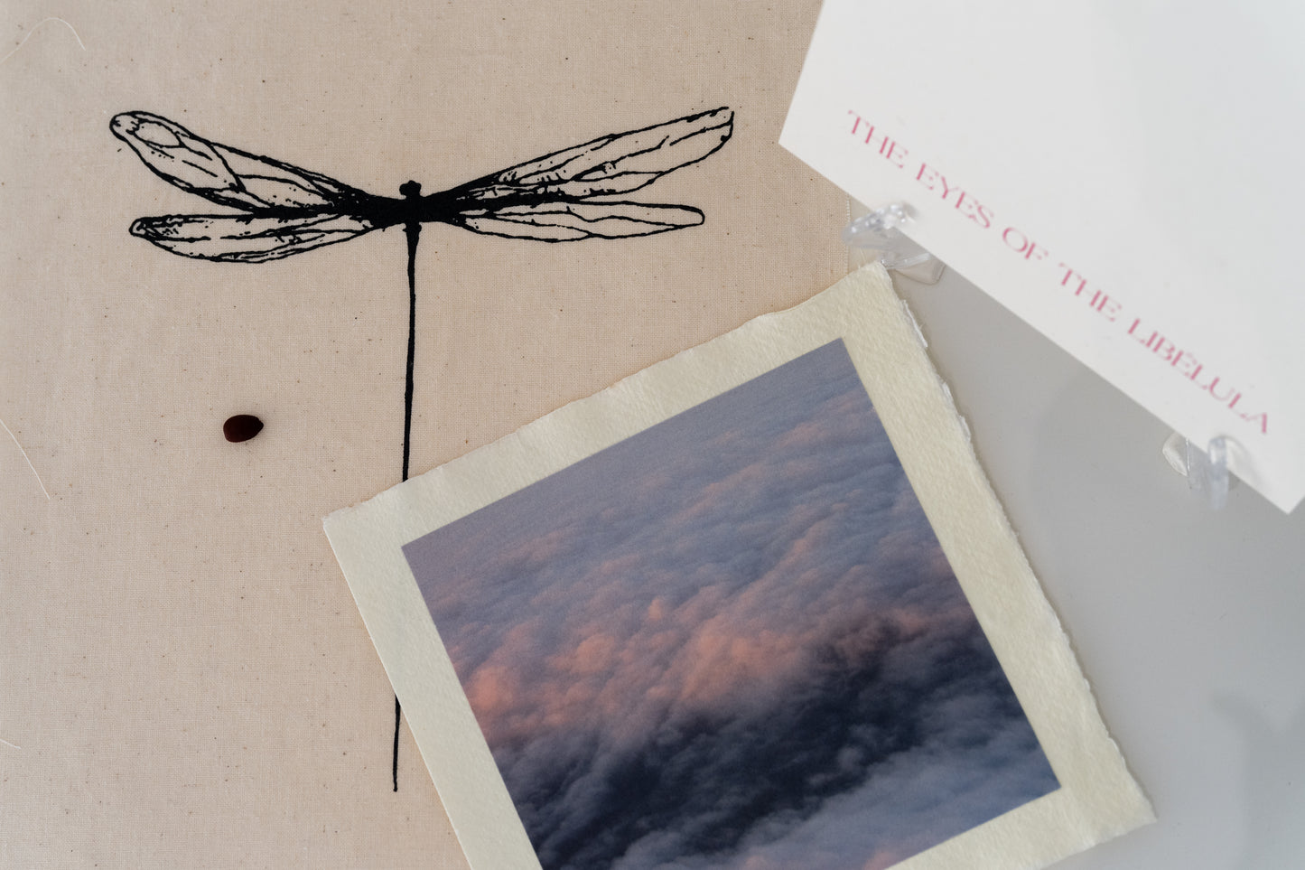 Petalita - The eyes of the dragonfly