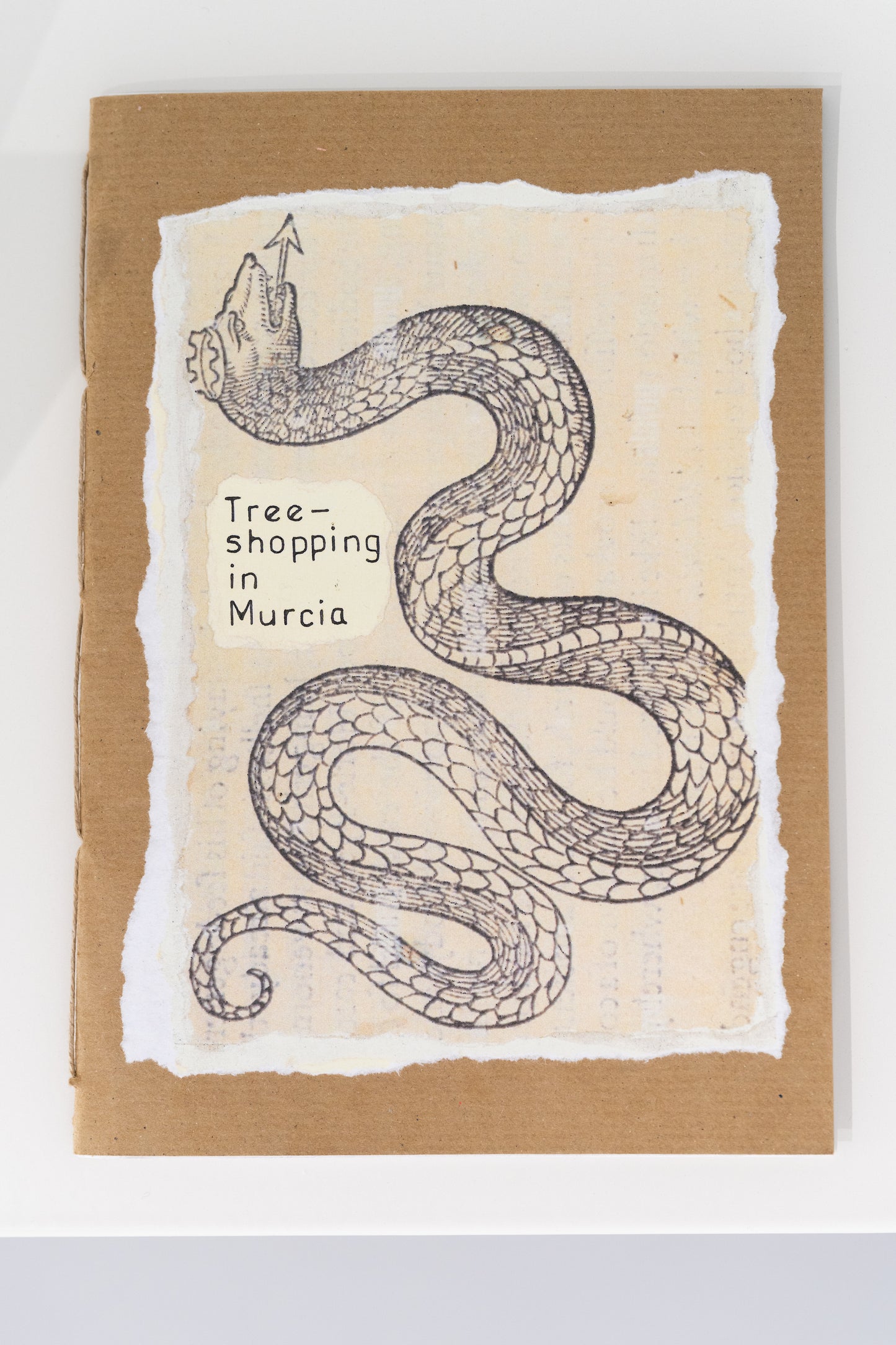 Joanna Hruby - Tree shopping in Murcia