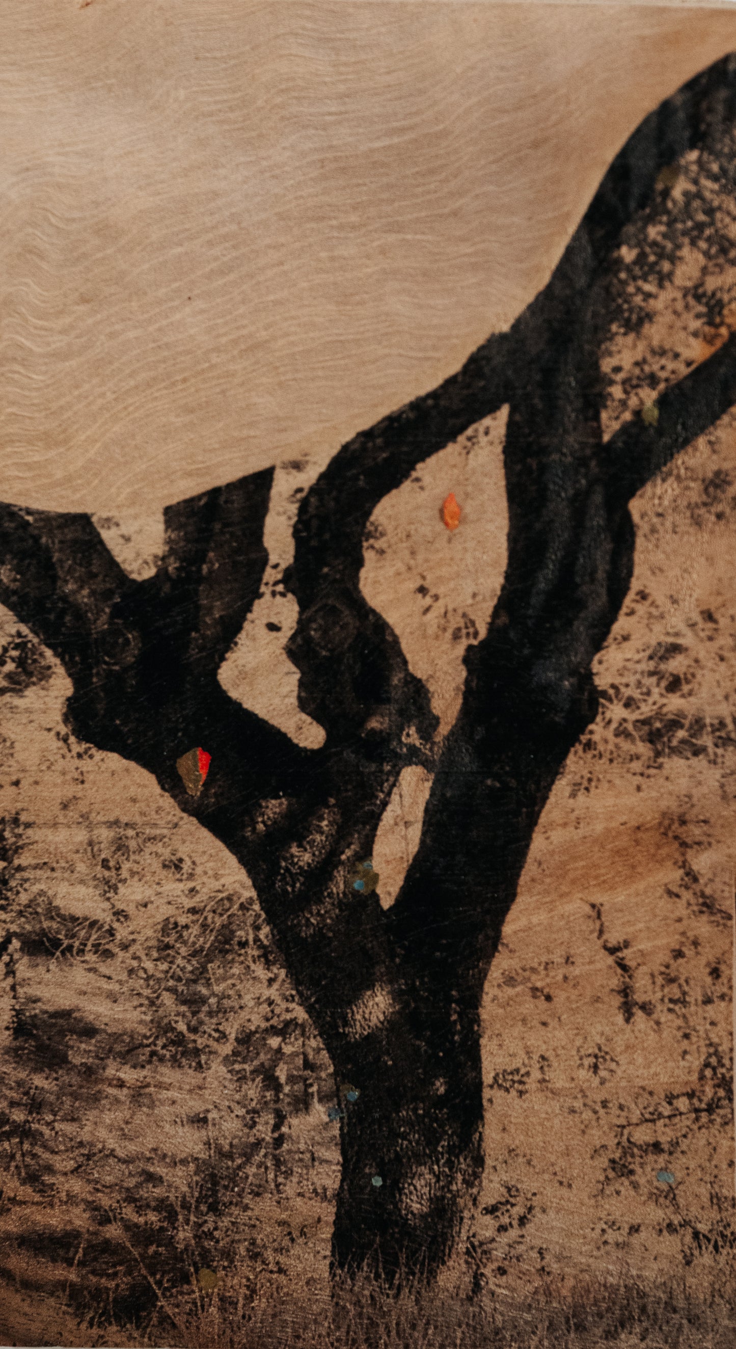 Eliana Perinat - Ánima Fraxinus