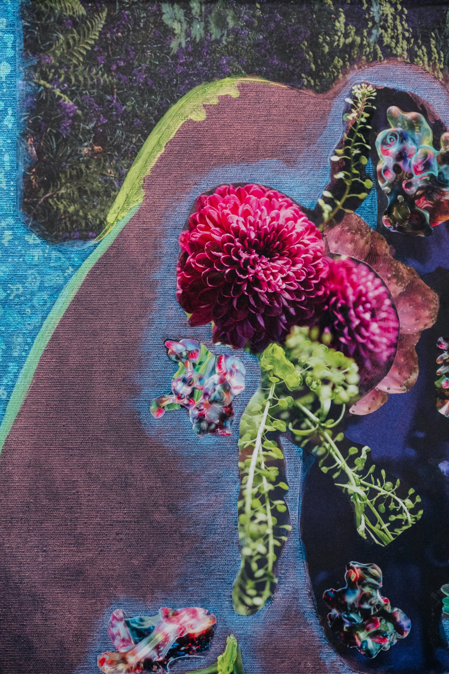Valentina Bouza - The Arrival of Flowers on Planet Earth