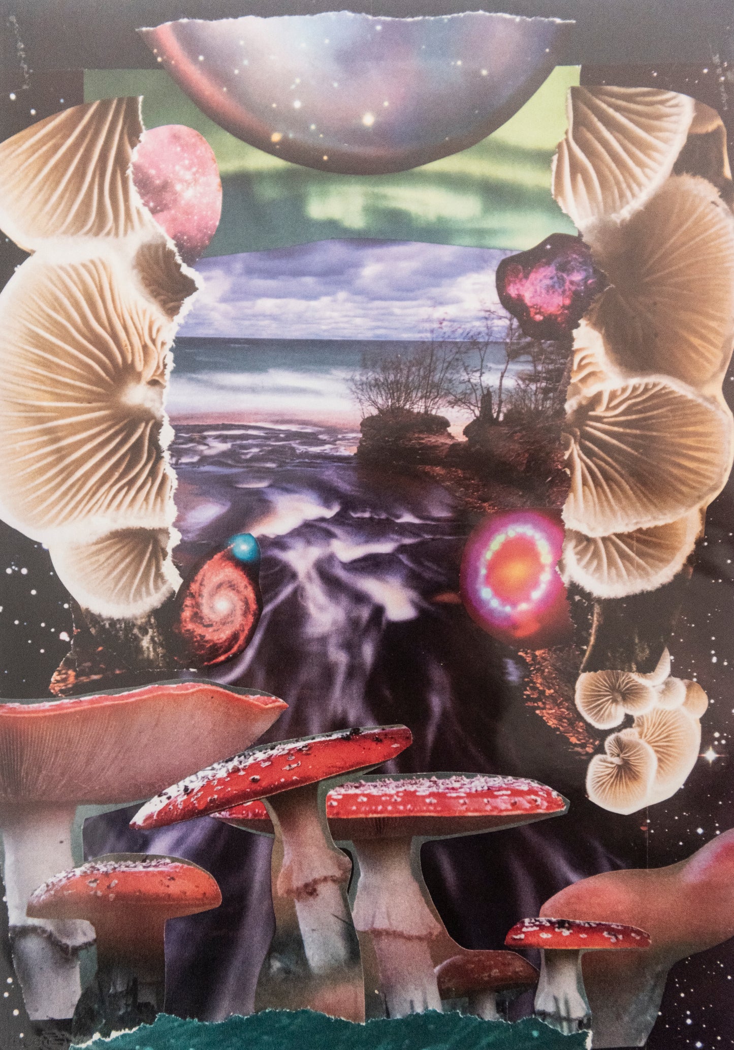 Valen Bouza - Trip collage