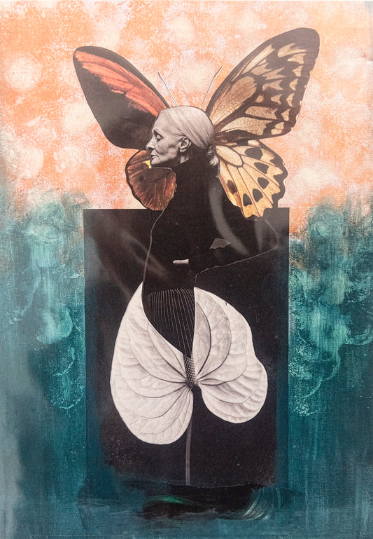 Valen Bouza - Madame Butterfly collage