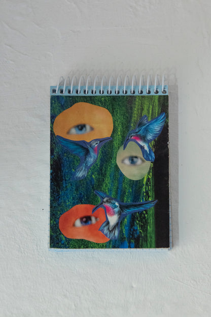 Valen Bouza - Colibrí libreta