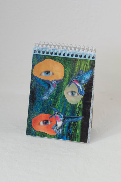 Valen Bouza - Colibrí libreta