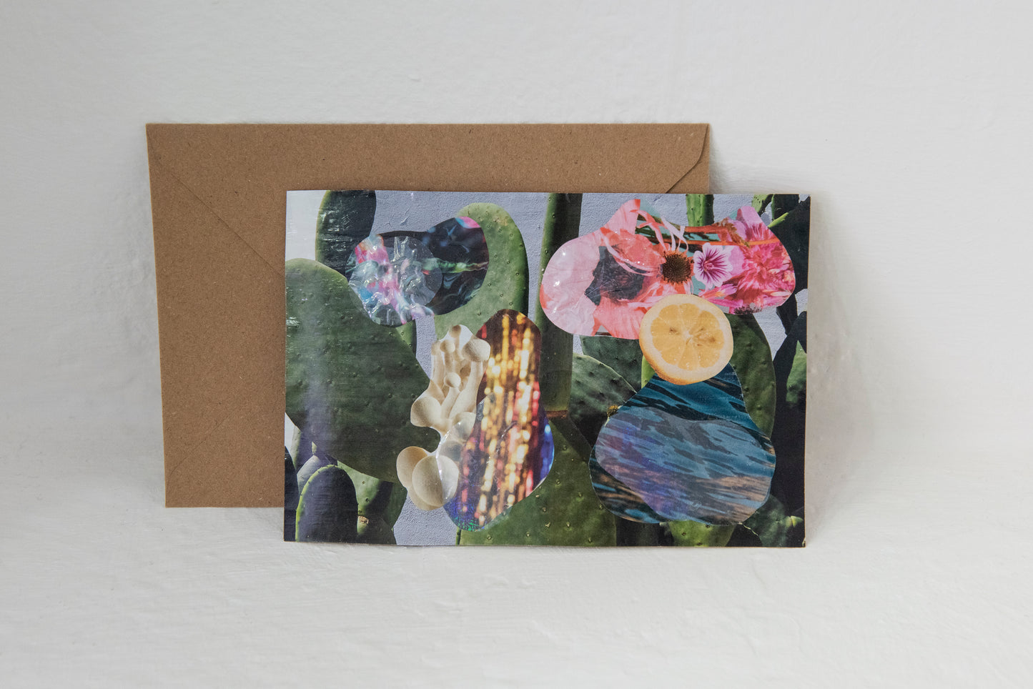 Valen Bouza - Chumbera Postcard