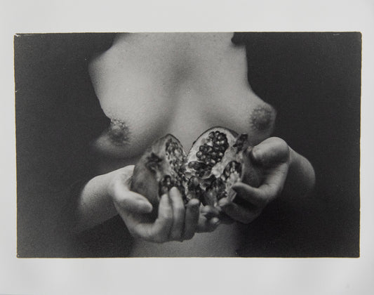 Michaela Meadow - Pomegranate