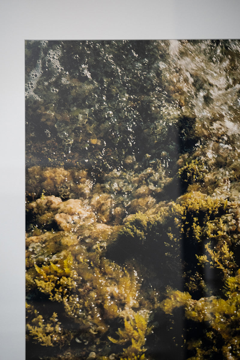 Sofia Gomez Fonzo - Underwater Love