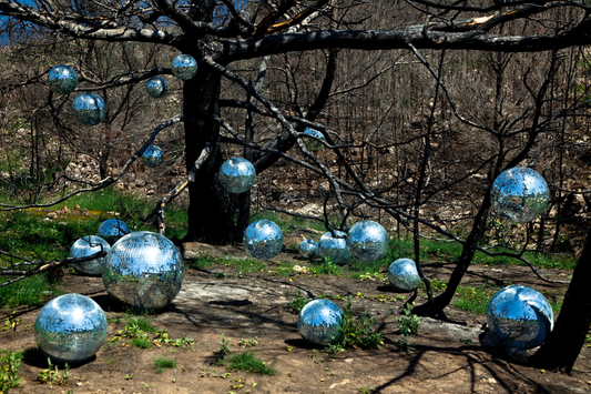 Noam Ofir - 5. Disco Forest