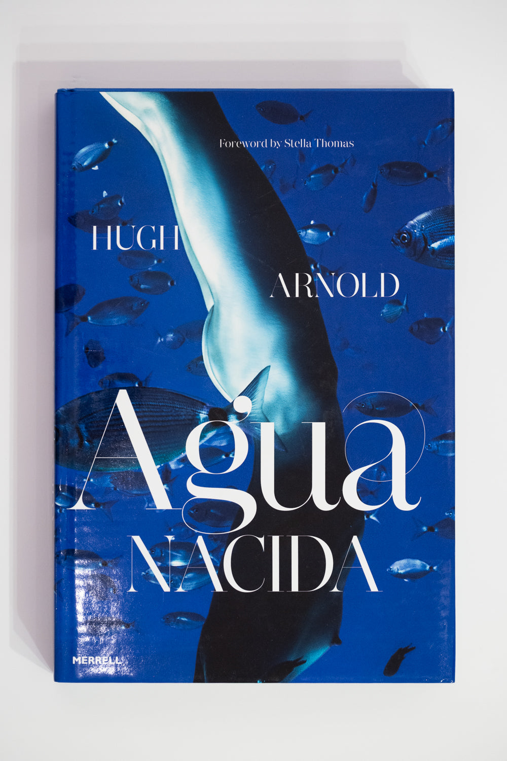 Agua Nacida - Hugh Arnold