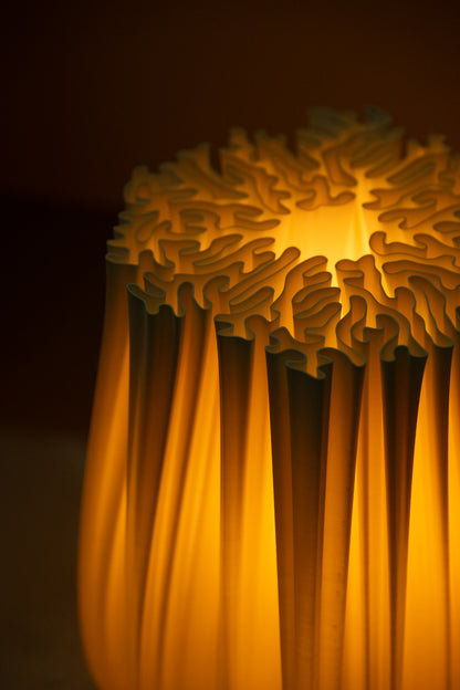 Coral lamp