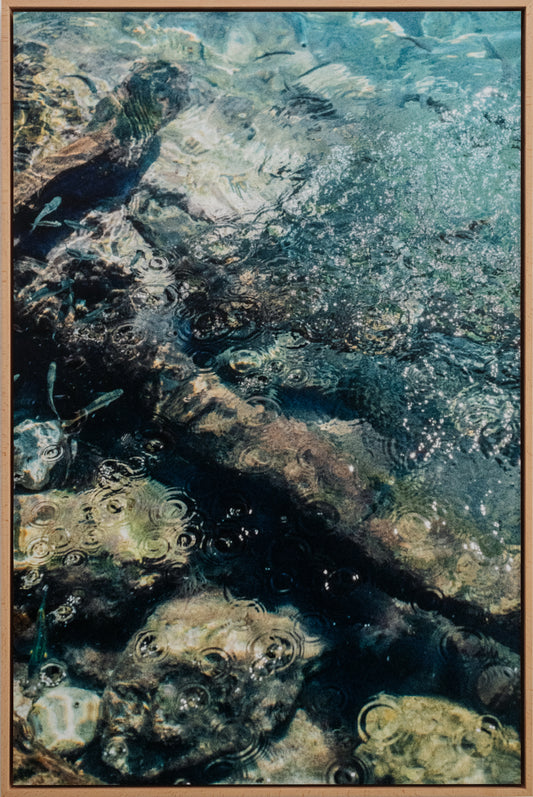 Sofia Gomez Fonzo - Fish & ripples II