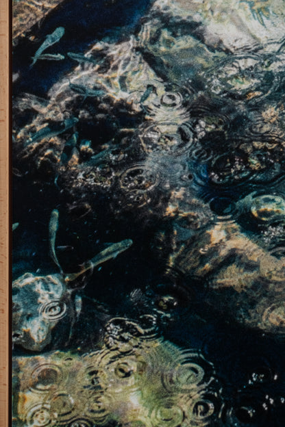 Sofia Gomez Fonzo - Fish & ripples II
