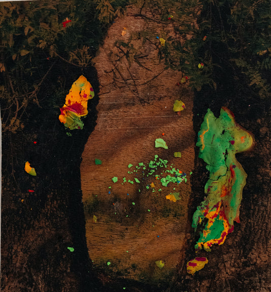 Eliana Perinat - Ánima Arbor