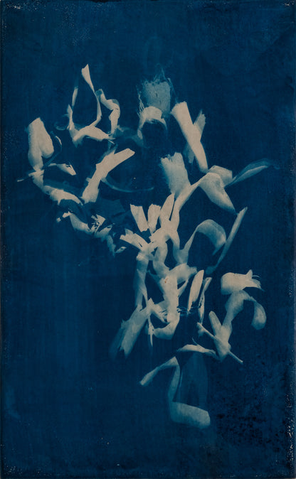Elizabeth Rose Langford - Ten Thousand Years