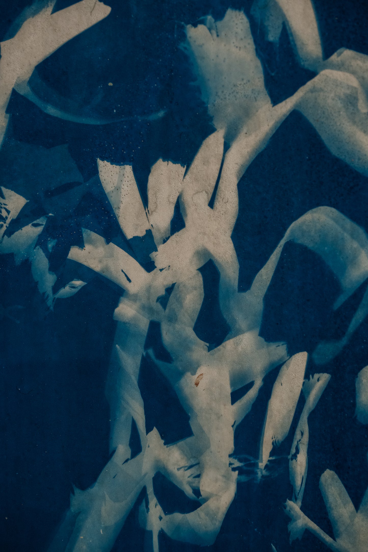 Elizabeth Rose Langford - Ten Thousand Years