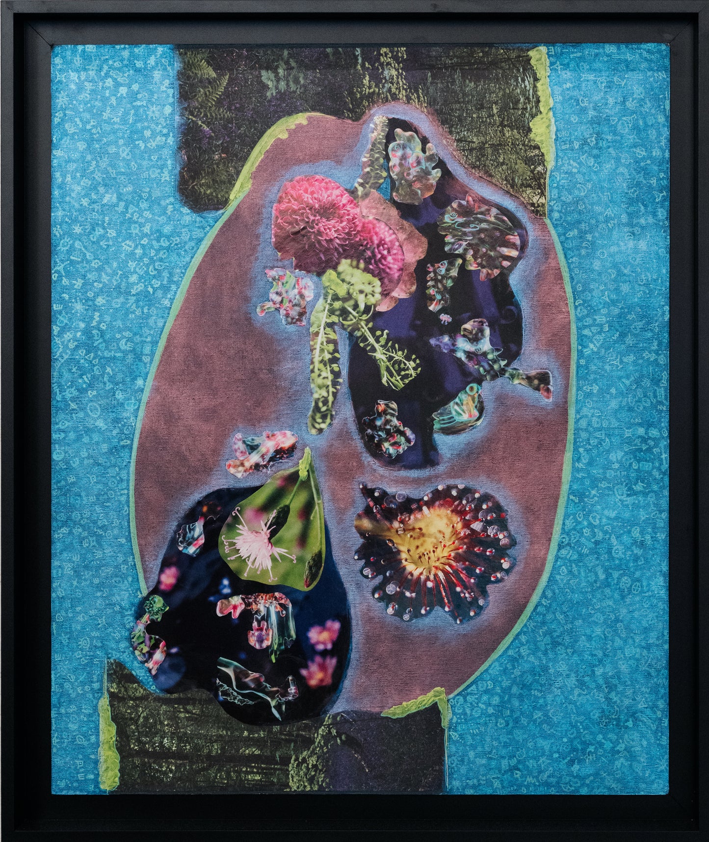 Valentina Bouza - The Arrival of Flowers on Planet Earth