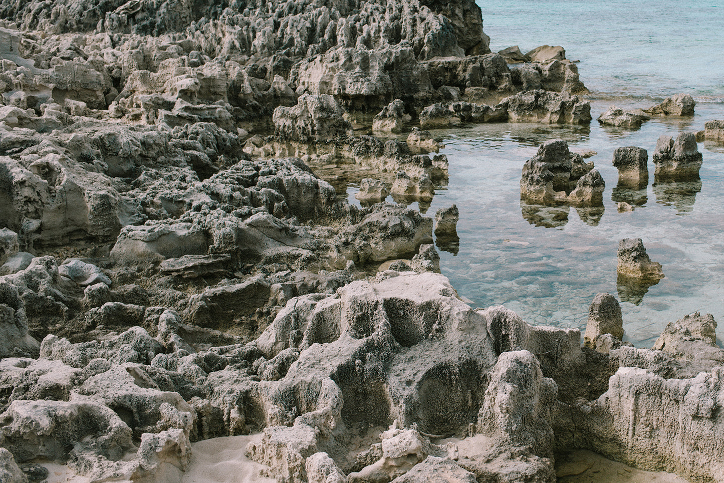 Sofia Gomez Fonzo - On the rocks