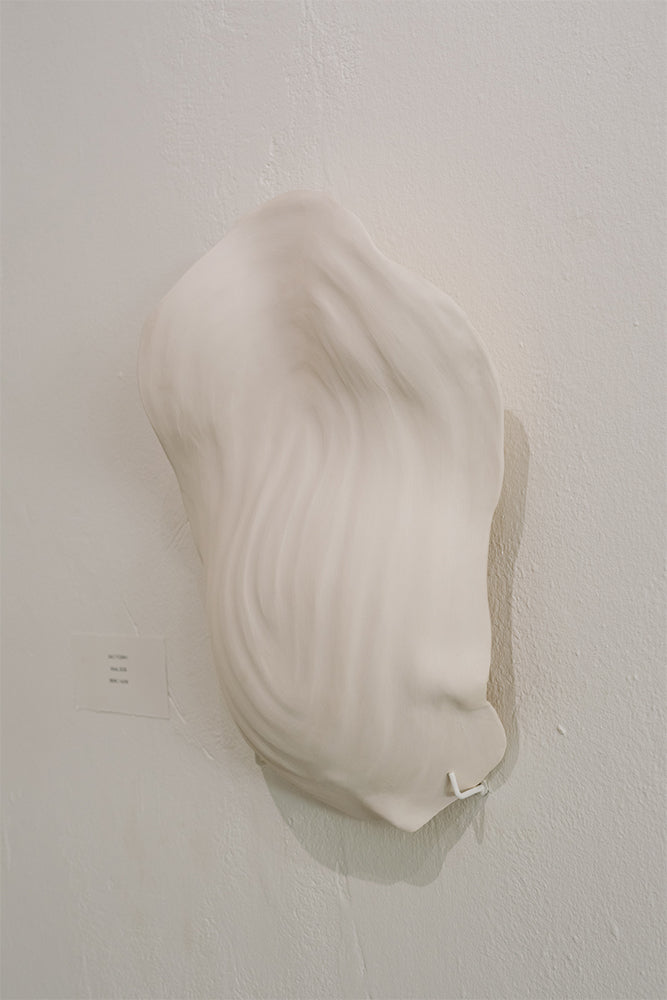 Rachel Weschke - Salt Form I