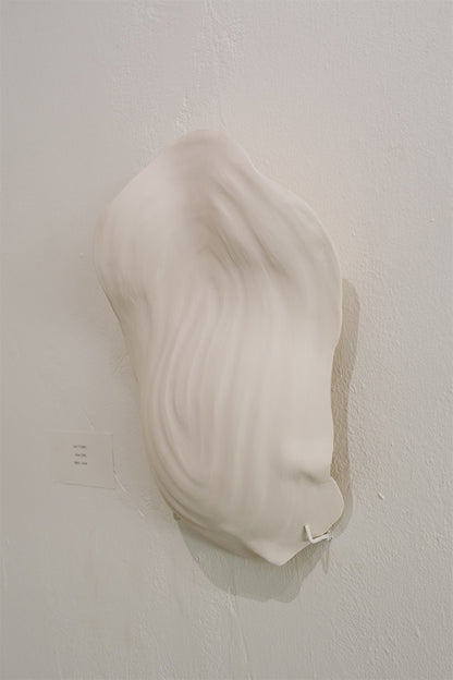 Rachel Weschke - Salt Form I