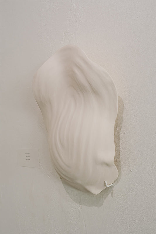 Rachel Weschke - Salt Form I