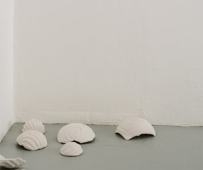 Rachel Weschke - Salt Forms