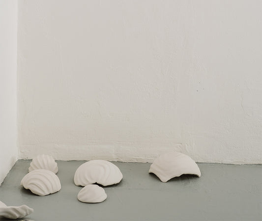 Rachel Weschke - Salt Forms