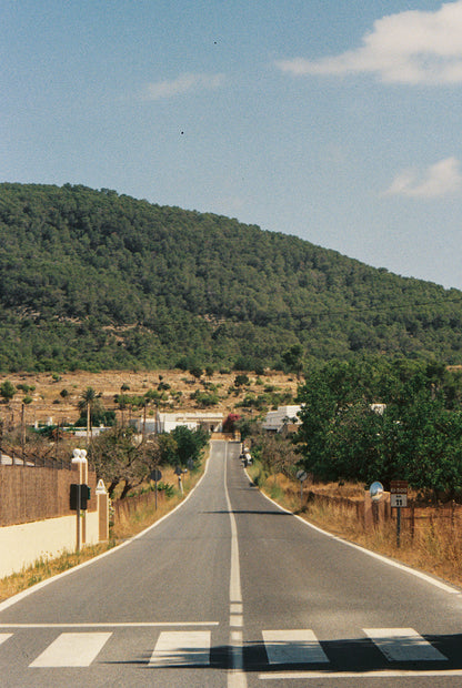 Sofia Gomez Fonzo - Up North